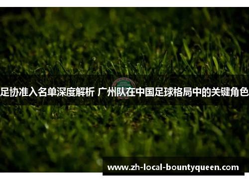 足协准入名单深度解析 广州队在中国足球格局中的关键角色